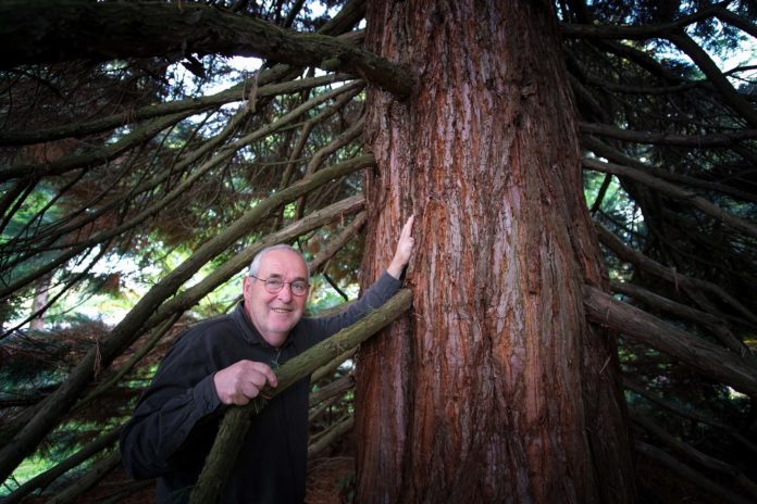 Im Sauerland steht der Wald der Zukunft – 2 Wanderungen  zwischen Tradition und Exotik Bernward Lösse steht in Balve in seinem Wald. Der Wald wird von seiner Familie nun schon in der 14. Generation bewirtschaftet. Mehr als 80 verschiedene Baumarten wachsen hier und das Sammeln von seltenen Arten ist für Bernward Lösse fast schon zur Leidenschaft geworden. Foto: Mario Vedder