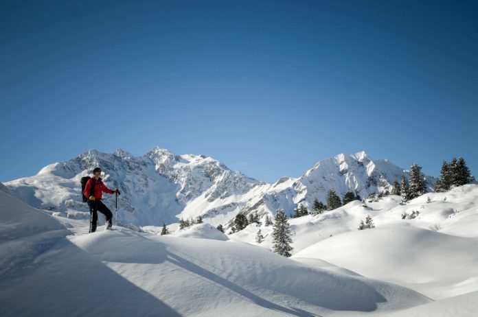 Unter schroffen Winter Gipfeln: Suche nach Tierspuren auf 1600 Metern Höhe Pulverschnee und winterliches Sonnenlicht in Bregenzerwald. Foto: Oliver Abraham