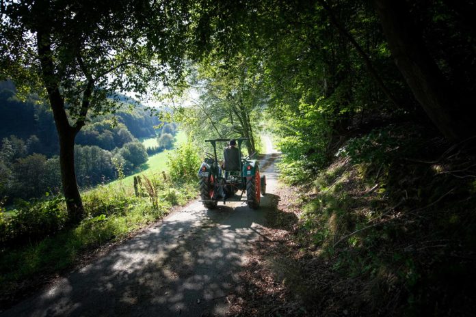 Treckerwandern im Sauerland: Durchatmen, Seele baumeln lassen Irgendwo im Nirgendwo: Treckerwandern im Sauerland. Foto: Mario Vedder