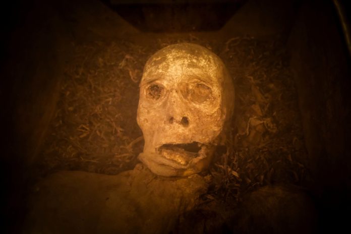 Die Mumien von Wiuwert – Ein mysteriöses Geheimnis in Friesland a skull with mouth open Fünf Särge lagern im Mumienkeller der Kirche Sankt Nicolaas in der niederländischen Provinz Friesland, vier Mumien sind offen zu sehen. Foto: Mario Vedder