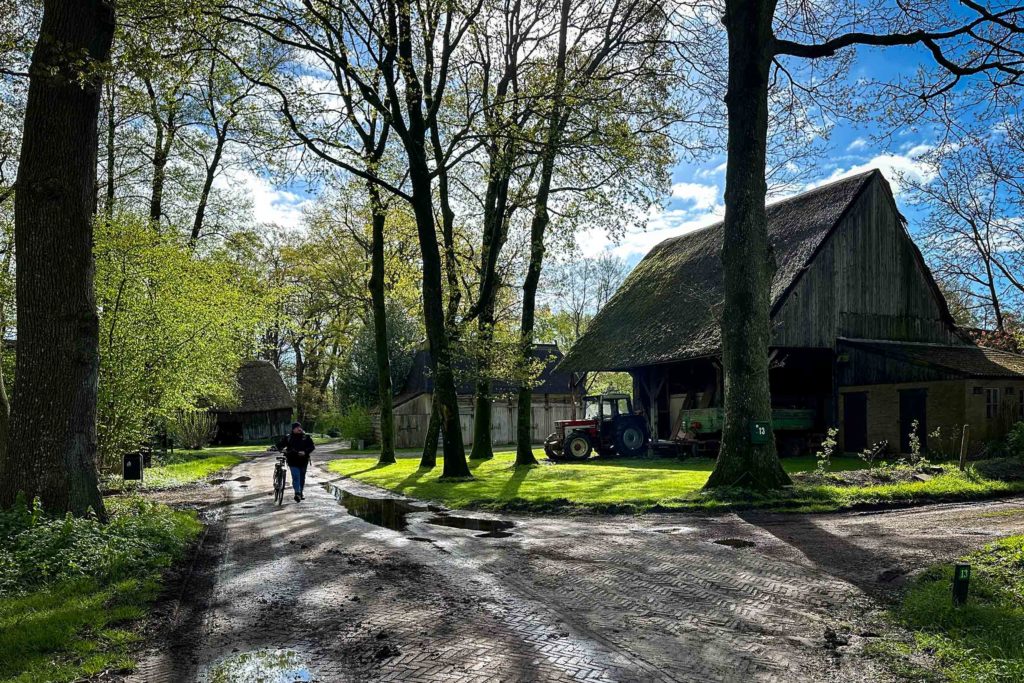 Ein Hof-Ensemble, Alleen aus Eichen und Kastanien. Foto: Mario Vedder