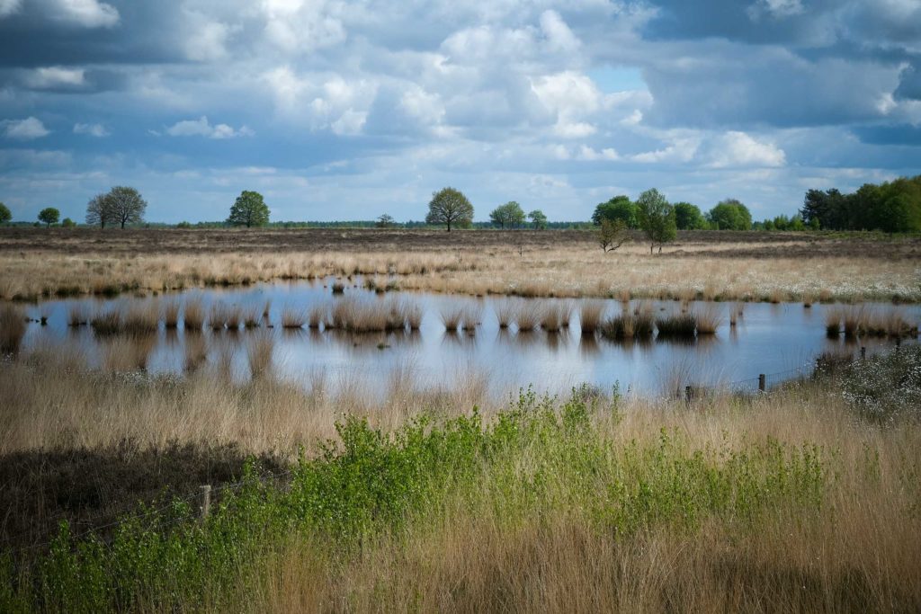 Ein Landschaftsmosaik, gefällig auch fürs Auge. Schönwetterwolken segeln vorüber. Foto: Mario Vedder
