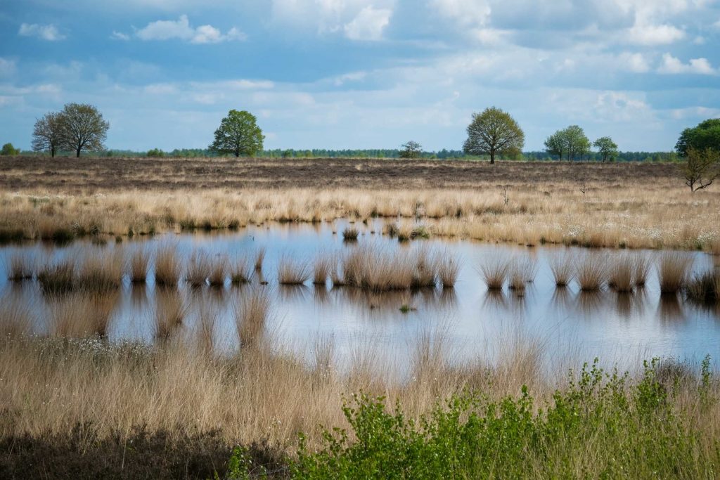 Magische Landschaft in der Provinz Drenthe. Foto: Mario Vedder