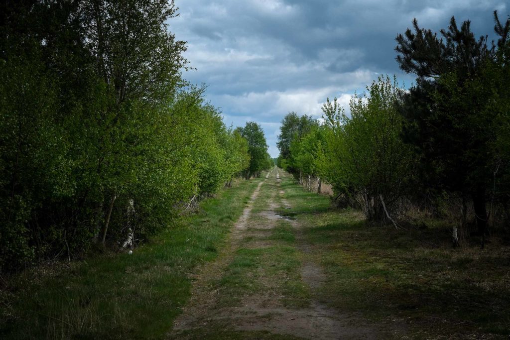 Hier wanderte einst der niederländische Malers Vincent van Gogh. Foto: Mario Vedder