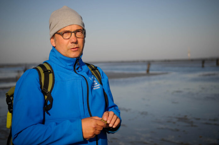 Neuwerk Wattwanderung: Abenteuer zur Hamburger Insel ab Cuxhaven Wattführer Matthias Magiera führt zehn Kilometer durch’s Watt nach Neuwerk. Foto: Oliver Abraham