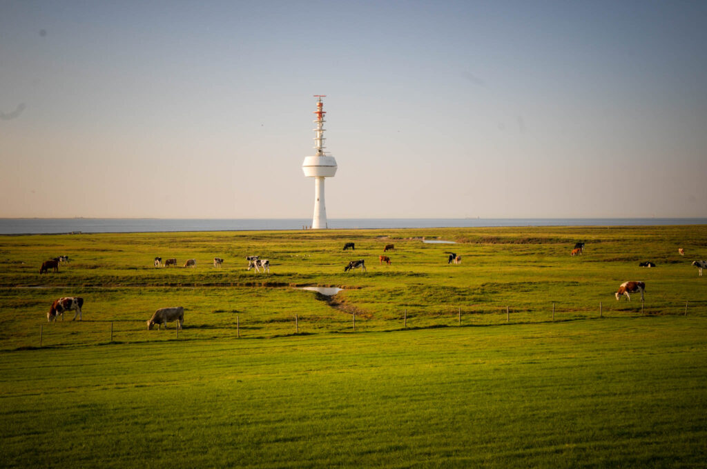 Wattwanderung zur Insel Neuwerk vor Cuxhavent. Foto: Oliver Abraham